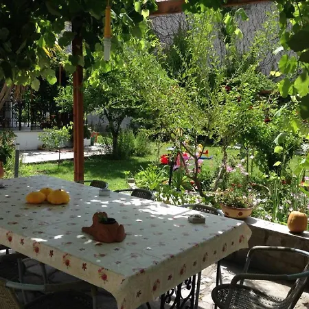 In Guest - Maro 1 Afytos